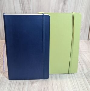 Moleskine Notebooks Ruled Pocket Used Blue And Green (2)